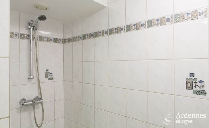 Ferienhaus Houffalize 20 Pers. Ardennen Wellness