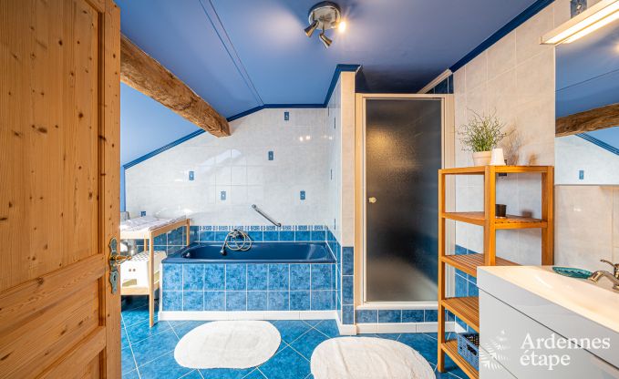 Ferienhaus Houffalize 11 Pers. Ardennen