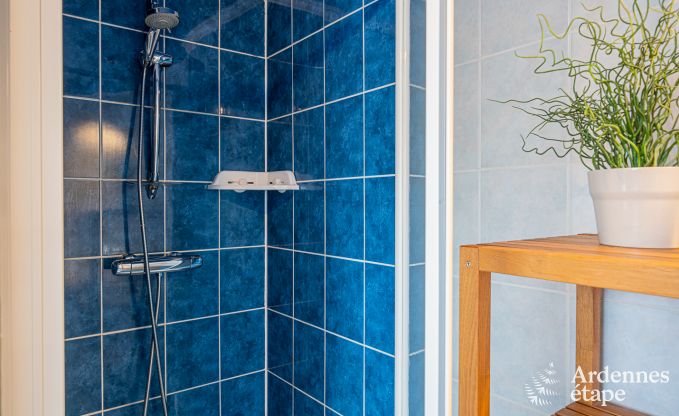 Ferienhaus Houffalize 11 Pers. Ardennen