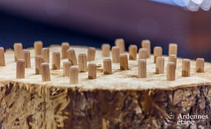 Ferienhaus Houffalize 9 Pers. Ardennen