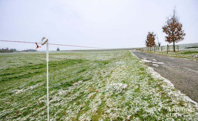 Ferienhaus in Houffalize f�r 2/4 Personen in den Ardennen