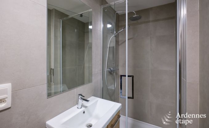 Ferienhaus Houffalize 16 Pers. Ardennen Schwimmbad Wellness