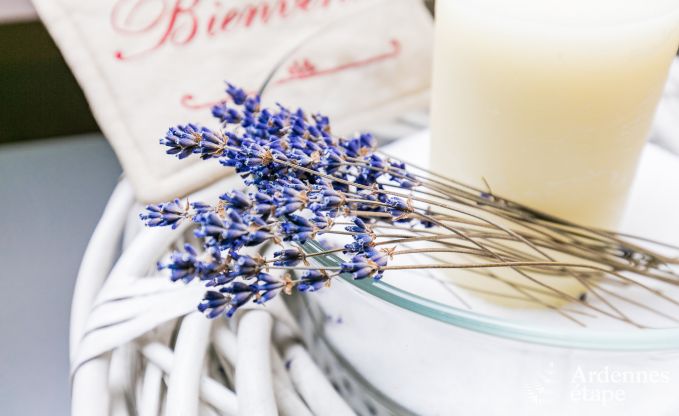 Ferienhaus Jalhay 4 Pers. Ardennen