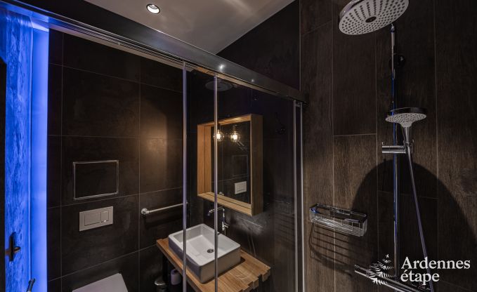 Luxusvilla Jalhay 14 Pers. Ardennen Schwimmbad Wellness Behinderten gerecht