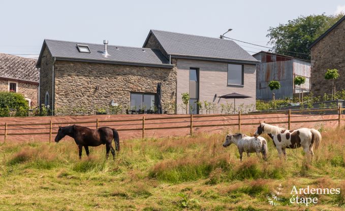 Cottage La-Roche-en-Ardenne 6 Pers. Ardennen