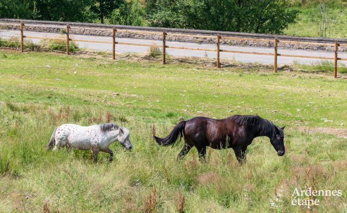 Cottage La-Roche-en-Ardenne 6 Pers. Ardennen