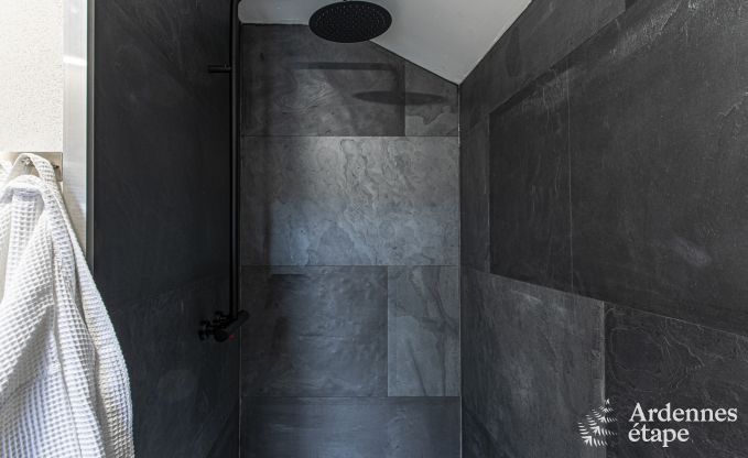 Ferienhaus La Roche-en-Ardenne 8 Pers. Ardennen Schwimmbad Wellness