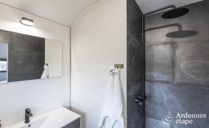 Ferienhaus La Roche-en-Ardenne 8 Pers. Ardennen Schwimmbad Wellness