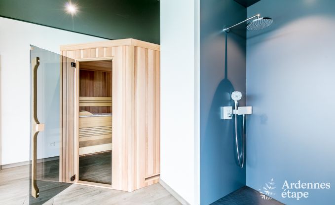 Luxusvilla La Roche en Ardenne 14 Pers. Ardennen Schwimmbad Wellness