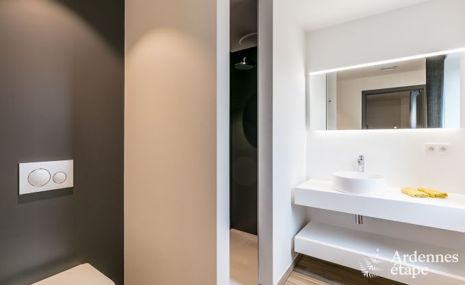 Luxusvilla La Roche en Ardenne 14 Pers. Ardennen Schwimmbad Wellness