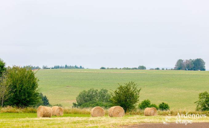 Luxusvilla La Roche en Ardenne 14 Pers. Ardennen Schwimmbad Wellness