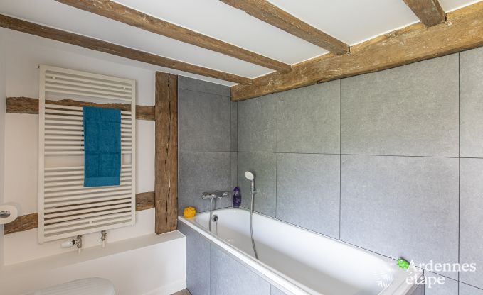 Luxusvilla La Roche-en-Ardenne 17 Pers. Ardennen Schwimmbad Wellness Behinderten gerecht