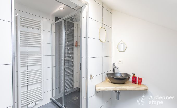 Luxusvilla La Roche-en-Ardenne 17 Pers. Ardennen Schwimmbad Wellness Behinderten gerecht