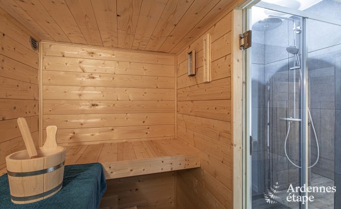 Luxusvilla La Roche-en-Ardenne 17 Pers. Ardennen Schwimmbad Wellness Behinderten gerecht