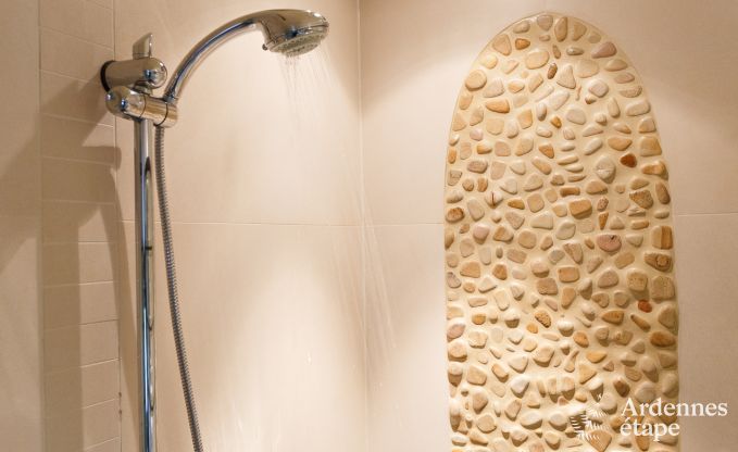 Luxusvilla La Roche 9 Pers. Ardennen Schwimmbad Wellness