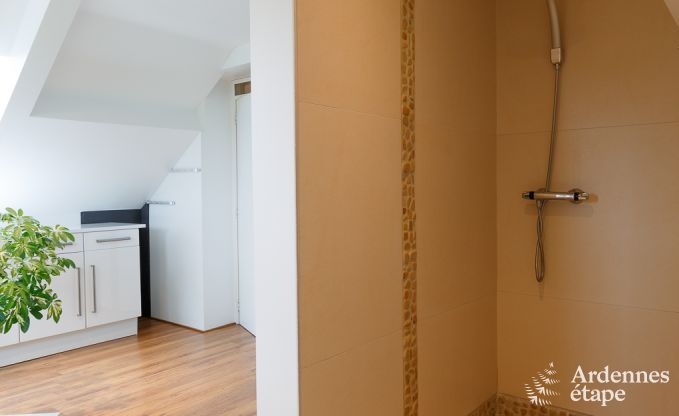 Luxusvilla La Roche 9 Pers. Ardennen Schwimmbad Wellness