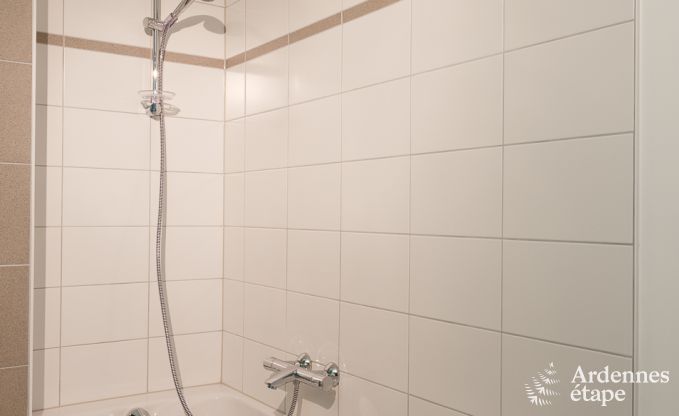 Luxusvilla La Roche 9 Pers. Ardennen Schwimmbad Wellness