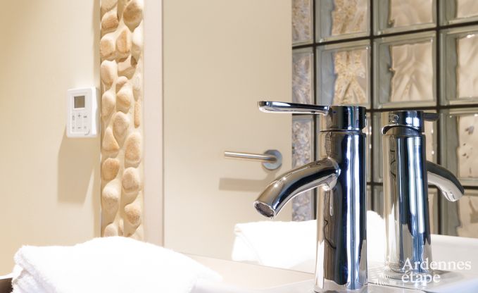 Luxusvilla La Roche 9 Pers. Ardennen Schwimmbad Wellness