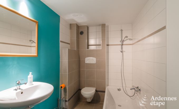 Luxusvilla La Roche 9 Pers. Ardennen Schwimmbad Wellness