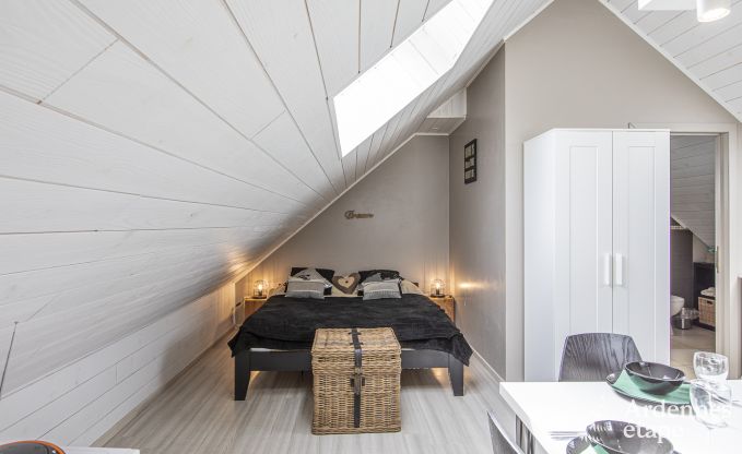 Ferienhaus Libin 2 Pers. Ardennen Schwimmbad Wellness