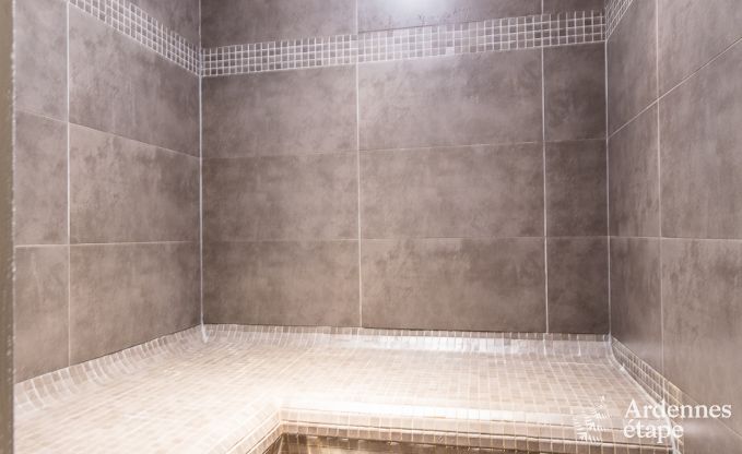 Ferienhaus Libin 2 Pers. Ardennen Schwimmbad Wellness