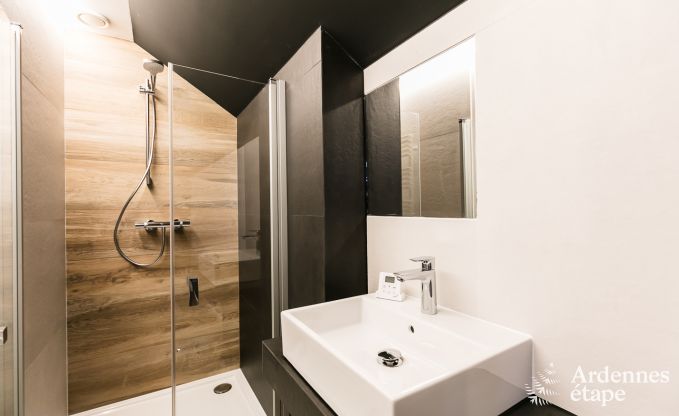 Ferienhaus Libin 11/14 Pers. Ardennen Wellness