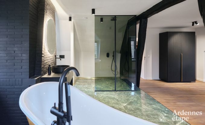 Schloss in Libin: eleganter Aufenthalt f�r 40 Personen mit umfangreichen Annehmlichkeiten