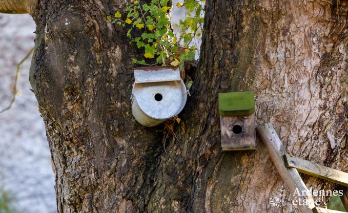 Ferienhaus Libin 2 Pers. Ardennen Behinderten gerecht