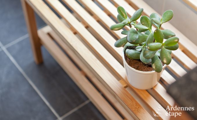 Ferienhaus Libramont (Freux) 6 Pers. Ardennen