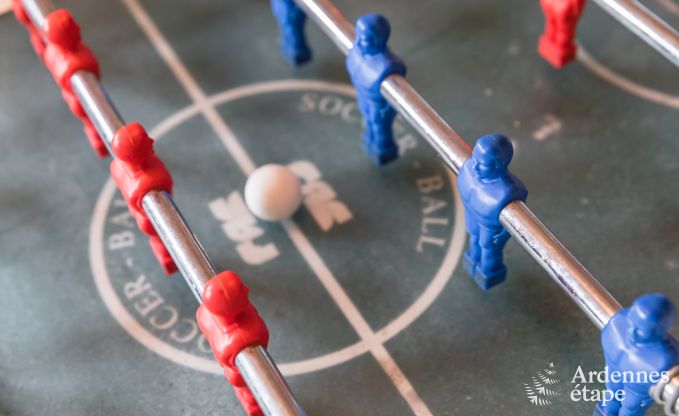 Ferienhaus Libramont-Chevigny 42 Pers. Ardennen