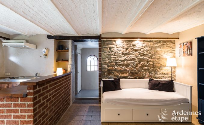 Ferienhaus Libramont-Chevigny 42 Pers. Ardennen