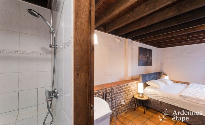 Ferienhaus Libramont-Chevigny 42 Pers. Ardennen