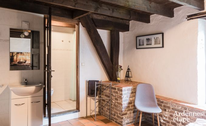 Ferienhaus Libramont-Chevigny 42 Pers. Ardennen