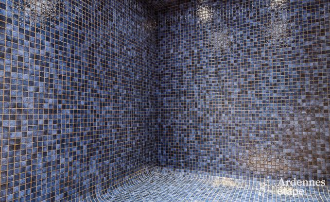 Ferienhaus Libramont-Chevigny 15 Pers. Ardennen Wellness