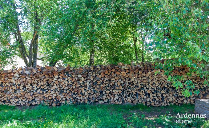 Ferienhaus Libramont-Chevigny 2 Pers. Ardennen
