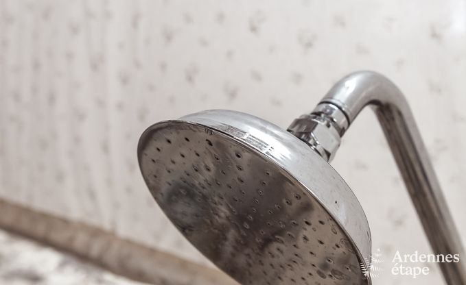 Ferienhaus Libramont-Chevigny 2 Pers. Ardennen