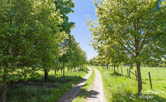 Ferienhaus Libramont-Chevigny 2 Pers. Ardennen