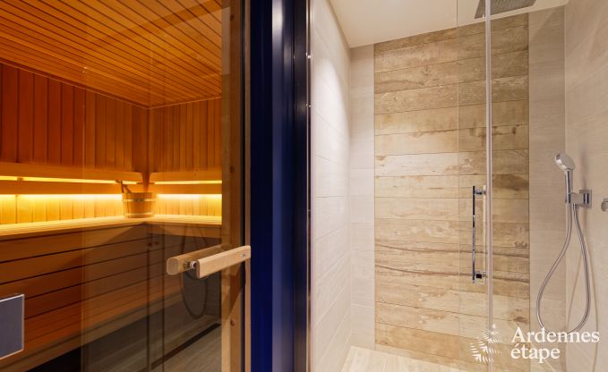 Ferienhaus Libramont-Chevigny 7/9 Pers. Ardennen Wellness