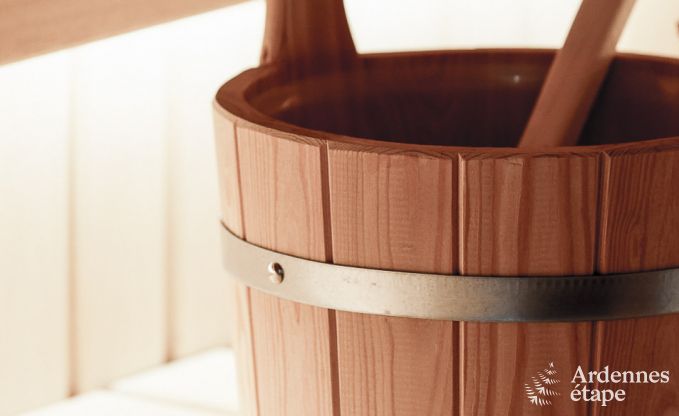 Ferienhaus Libramont-Chevigny 15 Pers. Ardennen Wellness