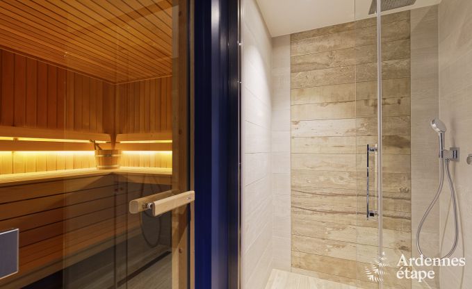 Ferienhaus Libramont-Chevigny 15 Pers. Ardennen Wellness