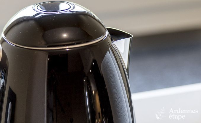 Ferienhaus Libramont-Chevigny 15 Pers. Ardennen Wellness