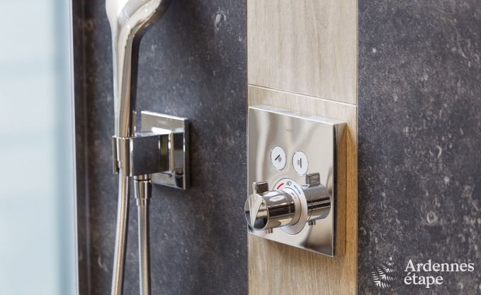 Ferienhaus Libramont-Chevigny 15 Pers. Ardennen Wellness