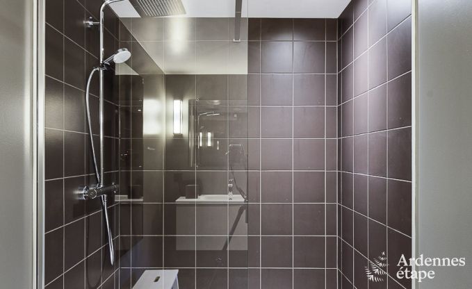 Ferienhaus Libramont-Chevigny 15 Pers. Ardennen Wellness