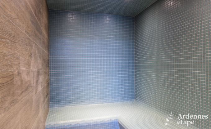 Ferienhaus Libramont-Chevigny 15 Pers. Ardennen Wellness