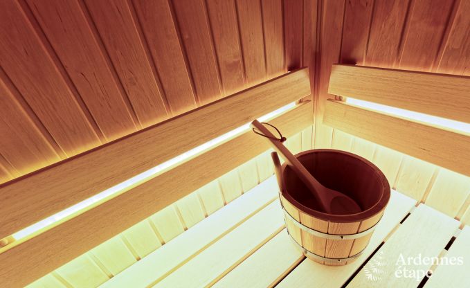 Ferienhaus Libramont-Chevigny 15 Pers. Ardennen Wellness