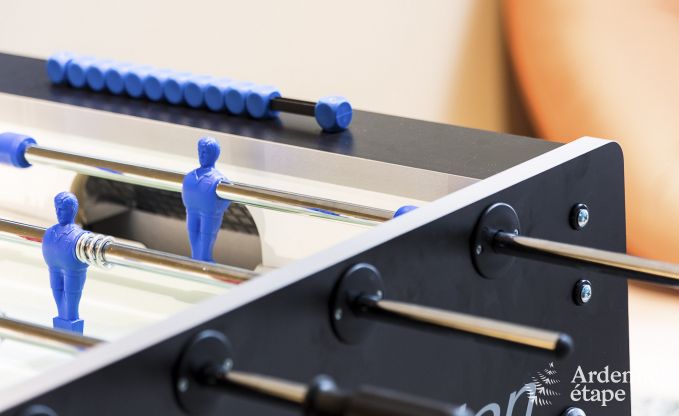 Ferienhaus Libramont-Chevigny 15 Pers. Ardennen Wellness