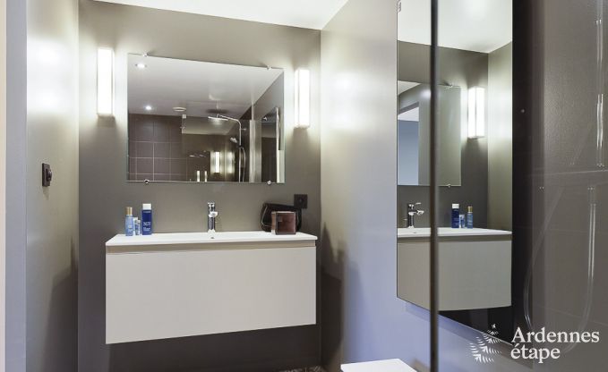 Ferienhaus Libramont-Chevigny 15 Pers. Ardennen Wellness