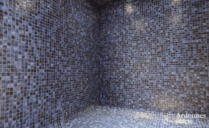 Ferienhaus Libramont-Chevigny 15 Pers. Ardennen Wellness