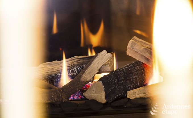 Ferienhaus Libramont-Chevigny 15 Pers. Ardennen Wellness