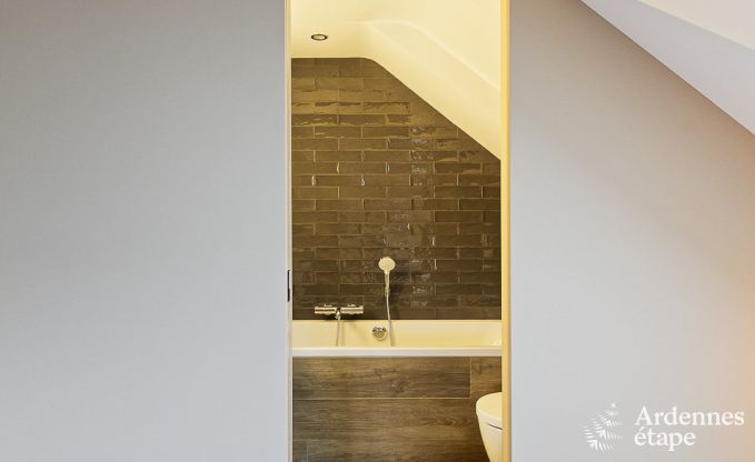 Ferienhaus Libramont-Chevigny 15 Pers. Ardennen Wellness